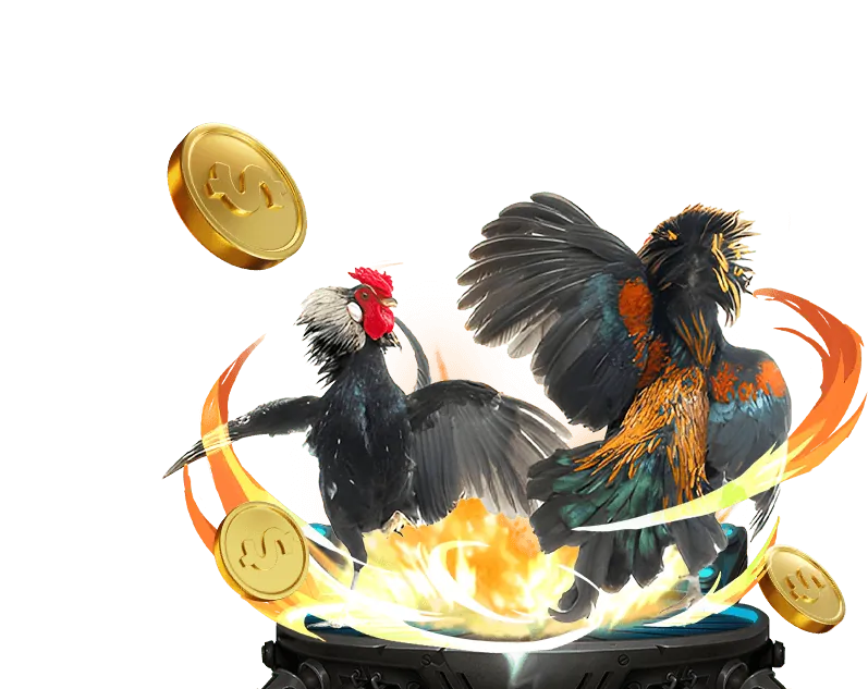 Cá cược bóng đá TDTC