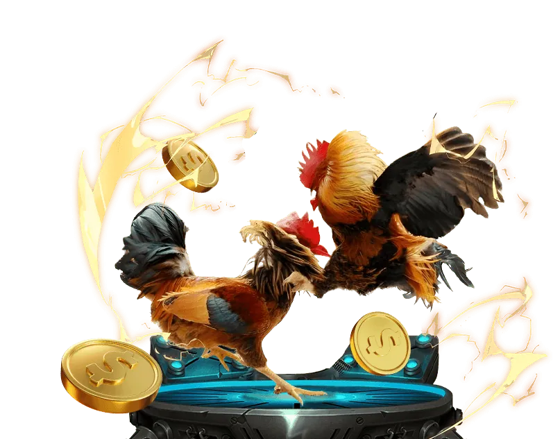 Cá cược bóng rổ TDTC